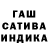 ГАШ гарик Estella Guevara