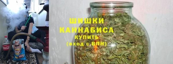 ПСИЛОЦИБИНОВЫЕ ГРИБЫ Аркадак