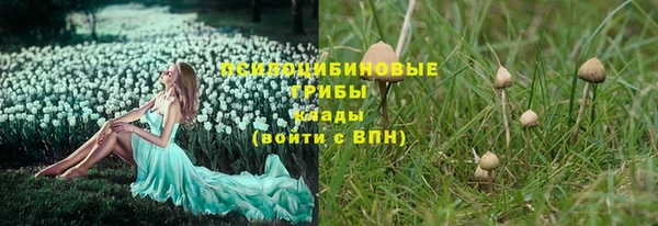 ПСИЛОЦИБИНОВЫЕ ГРИБЫ Аркадак